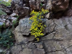 -须弥福寿之庙