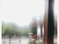 -杭州半山国家森林公园