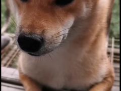 -潮火锅·麻辣牛肉火锅(观音桥方圆·LIVE店)