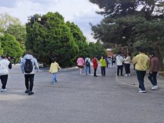 -北陵公园