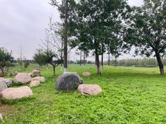 -汉长安城未央宫国家考古遗址公园