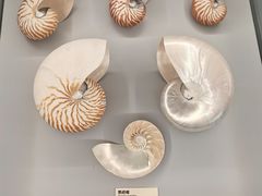 -天津古林古海岸遗迹博物馆