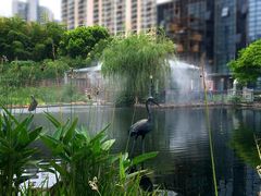 -苏州河梦清园环保主题公园