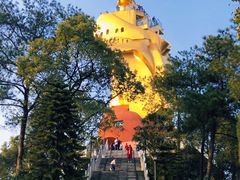 -大金鹰园