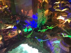 -恐龙探索乐园(磁器口店)