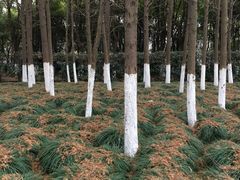 -上海大学(宝山校区)