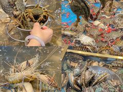 -半岛听涛蒸汽海鲜自助(K11店)