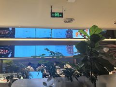 -Bco豆库(星耀天地店)