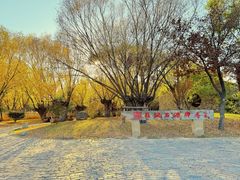 -源石酒庄
