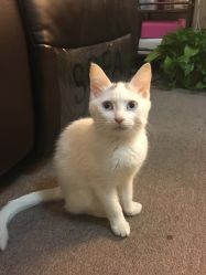 -尚美日式美甲美睫工作室