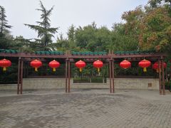 -大兴滨河森林公园