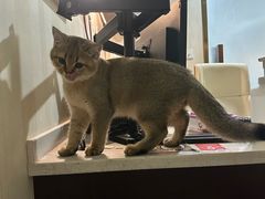 -宠爱国际维尼动物医院·疑难骨科·神经外科·肿瘤科(丰潭路店)