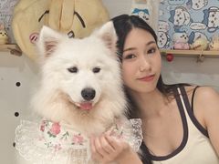 -毛绒耶耶撸宠馆·猫咖·狗咖·荷兰猪咖