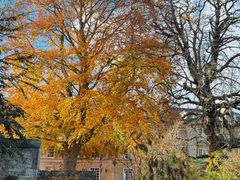 -牛津大学贝利奥尔学院