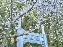 -苏州上方山国家森林公园
