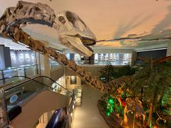 -甘肃地质博物馆