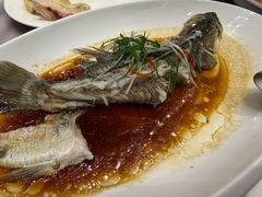 -东方御宴海鲜酒楼(棕泉酒店)