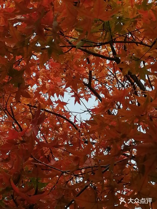 沈阳南湖公园图片