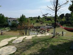 -铁山坪森林公园