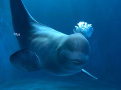 -多彩贵州城极地海洋世界