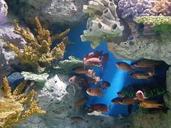 -福州罗源湾海洋世界旅游区