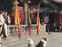 -长春观