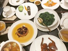 清香豌豆尖-甄御•海鲜新青岛菜(麦岛店)