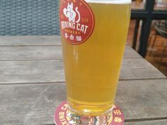 -Boxing Cat Brewery拳击猫精酿啤酒馆(永福店)