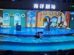 -重庆欢乐海底世界