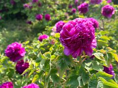 -河南省黄河迎宾馆