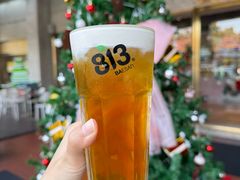 -813芭依珊 BAESAn(1983小镇店)