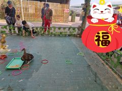-麻涌飞鸭开心农场