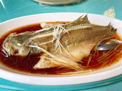-洪湖家庭农场·团建·露营·会议