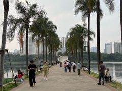 -南宁南湖公园