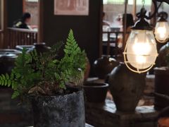 -几荷·恰似故人来(秀水广场店)