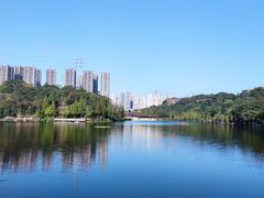 -重庆彩云湖湿地公园