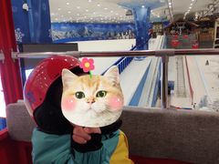 -长沙湘江冰雪世界