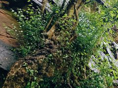 -苍岩山风景名胜区