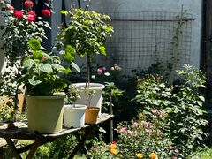 -小雅青年旅舍(平江路店)