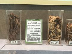 -北京中医药大学-中医药博物馆