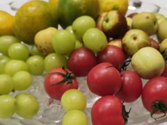 -同庆楼(花园店)