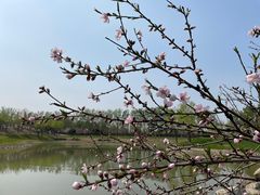 -龙熙温泉高尔夫俱乐部