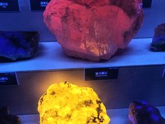 -湖南省地质博物馆