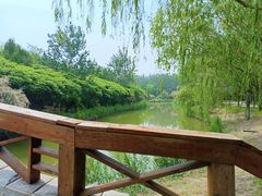 -塘沽森林公园