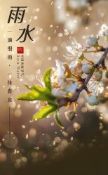 -Oasis Beauty水磨坊科技美肤中心