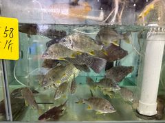 -辉记虾塘海鲜农庄