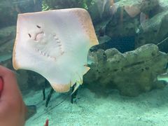 -珠海长隆海洋王国