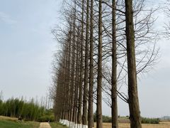-良渚古城遗址公园
