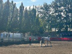 -北京群众马术培训基地