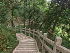 -广州市帽峰山景区